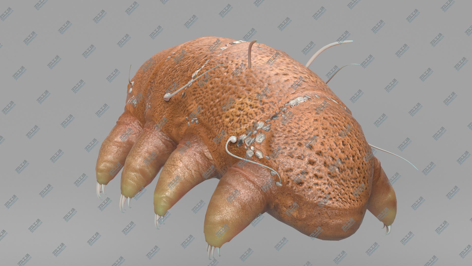 images/goods_img/202104023/Tardigrade 3D model/5.jpg